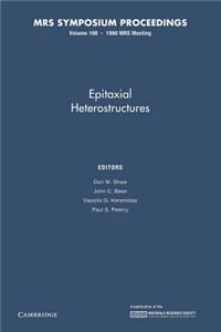 Epitaxial Heterostructures: Volume 198