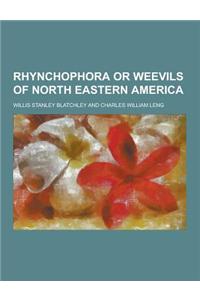 Rhynchophora or Weevils of North Eastern America