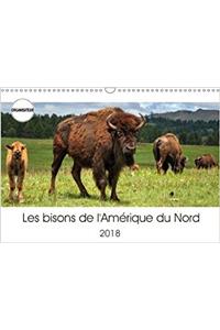 Bisons De L'amerique Du Nord 2018