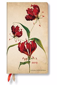 GLORIOSA LILY MINI 2019 DAYATATIME