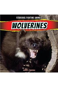 Wolverines