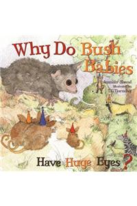 Why Do Bush Babies Have Huge Eyes?