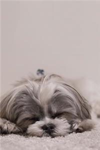 Such a Cute Snoozing Shih Tzu Puppy Dog Journal