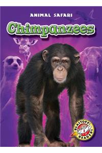 Chimpanzees