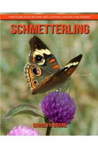 Schmetterling: Erstaunliche Bilder und lustige Fakten für Kinder