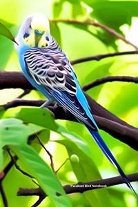 Parakeet Bird Notebook
