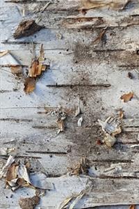 2020 Weekly Planner Dry Birch Bark Photo 134 Pages