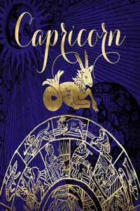 2020 Daily Planner Capricorn Symbol Astrology Zodiac Sign Horoscope 388 Pages