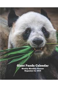 Giant Panda Calendar Weekly Monthly Planner Organizer for 2019