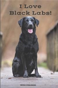 I Love Black Labs!