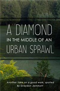 Diamond in the Middle of an Urban Sprawl