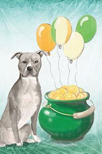 American Staffordshire Terrier
