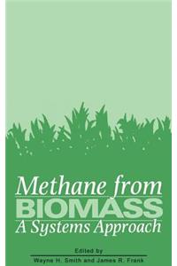 Methane from Biomass: A Systems Approach