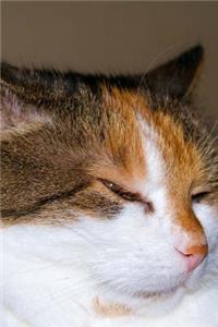 Unimpressed Cat Journal