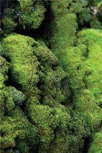 Green Moss - Lined Notebook with Margins