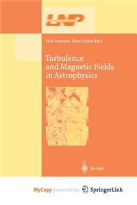 Turbulence and Magnetic Fields in Astrophysics