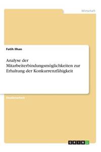 Analyse der Mitarbeiterbindungsmöglichkeiten zur Erhaltung der Konkurrenzfähigkeit
