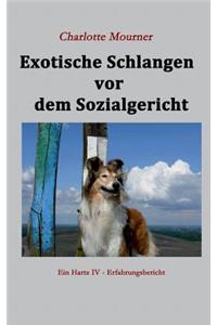 Exotische Schlangen VOR Dem Sozialgericht