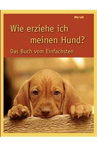 Wie erziehe ich meinen Hund