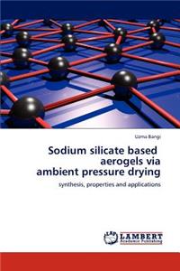 Sodium silicate based aerogels via ambient pressure drying