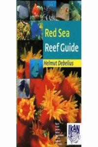Red Sea Reef Guide