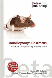 Handleyomys Rostratus