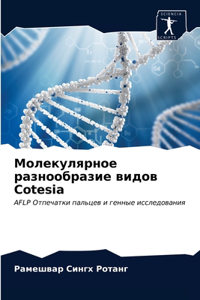 Молекулярное разнообразие видов Cotesia