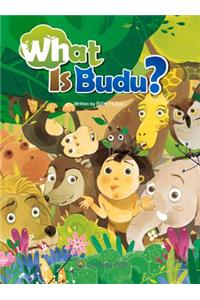 What Is Budu?