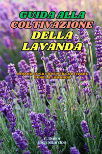 Guida alla Coltivazione della Lavanda