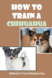 How To Train A Chihuahua