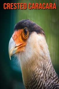 Crested Caracara