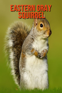 Eastern Gray Squirrel