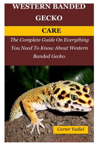 Western Banded Gecko Care