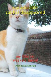 my adorable cat has disappeared