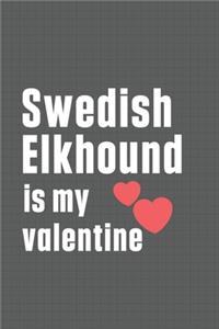 Swedish Elkhound is my valentine