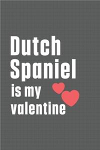 Dutch Spaniel is my valentine