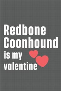 Redbone Coonhound is my valentine