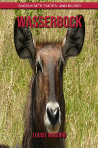 Wasserbock