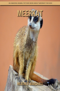 Meerkat