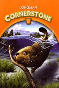 Longman Cornerstone B International Edition