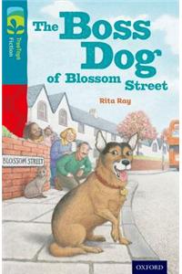 Oxford Reading Tree TreeTops Fiction: Level 9 More Pack A: The Boss Dog of Blossom Street