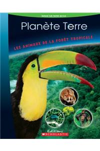 Les Animaux de la For?t Tropicale