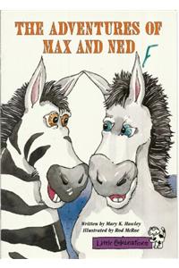 Little Celebrations, the Adventures of Max and Ned, Single Copy, Fluency, Stage 3b