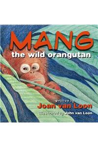 Mang the Wild Orangutan