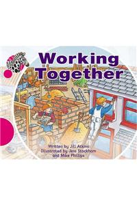 Spotty Zebra Pink B Ourselves - Working Together (x6)