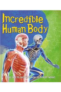 Fast Facts: Incredible Human Body