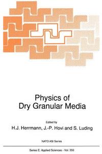 Physics of Dry Granular Media