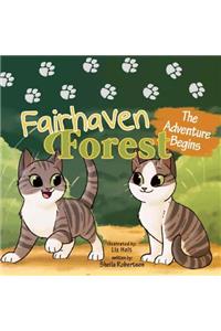 Fairhaven Forest