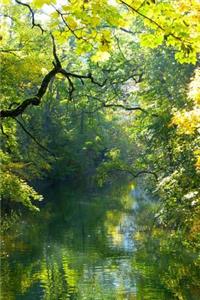 Wooded Tributary of the River Danube Journal