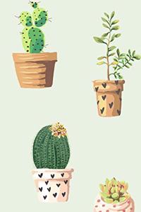 Cactus Plants in Pots Journal